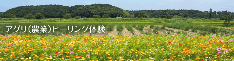 アグリ（農業）ヒーリング体験