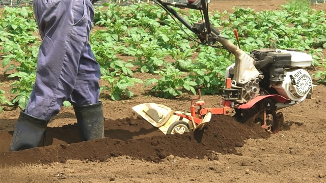 小型トラクターでの畑作業をしている様子の画像です
