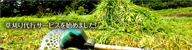 sT[rXn߂܂I