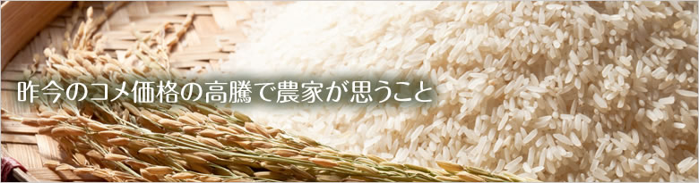 昨今のコメ価格の高騰で農家が思うこと